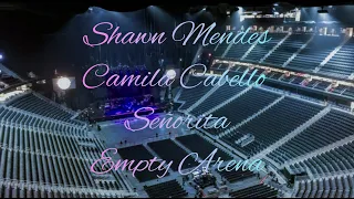 Shawn Mendes, Camila Cabello - Señorita | Empty Arena Effect 🎧