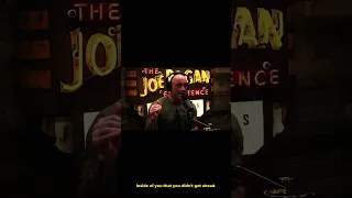 Joe Rogan - Delaying Gratification