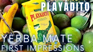 Playadito | Yerba Mate | First Impressions 🧉