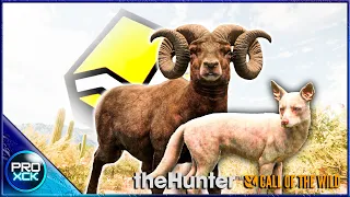 More DIAMONDS and rares we didn't have on Rancho del Arroyo - theHunter Call of the Wild