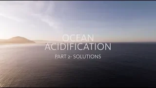 Ocean Acidification - Part 2, Solutions