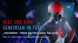 Herzbeben – Wenn das Herz außer Takt gerät ... | Herz und Hirn