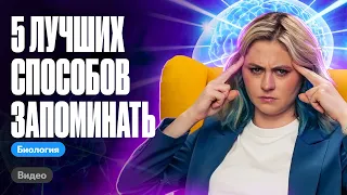 Как быстро запоминать материал. Секретные лайфхаки | ЕГЭ по биологии | Ксения Напольская 100бальный