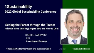 Seeing the Forest through the Trees: Time to Disaggregate ESG and How to Do it | Dan Labovitz