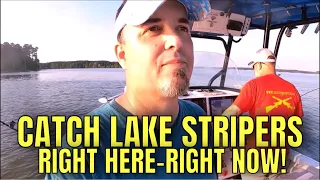 How to Catch Stripers RIGHT NOW! For ALL Striped Bass LAKES. Freshwater #3 Troll Simrad