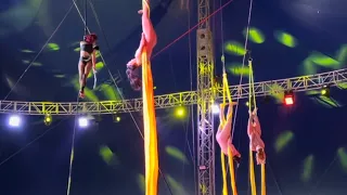 Girls hanging by their hair in GARDEN BROS NUCLEAR CIRCUS - Largest Circus on Earth 🎪