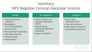 HPV Negative Cervical Glandular Lesions