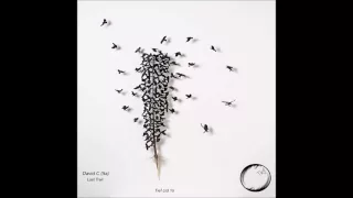 David C. - Lost Trail (Original Mix) [Tief Ltd]