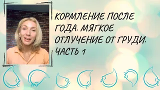 Кормление после года. Мягкое Отлучение от груди. часть 1