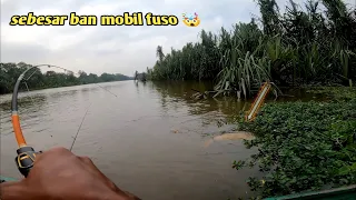 3 hari mancing ikan di sungai hutan pedalaman Jambi-palembang