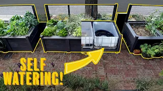Stylish, self watering raised garden beds! How to build