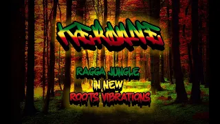 Ragga Jungle Drum & Bass Mix - Ragga Jungle New Roots Vibrations (Drum & Bass Mix 2023)