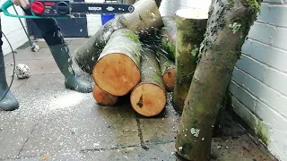 Cutting a 28 cm log with a Bosch AKE 40 S chainsaw @CackHandedDaveDoesDIY