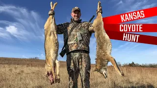 Kansas Coyote Double - Coyote Hunting