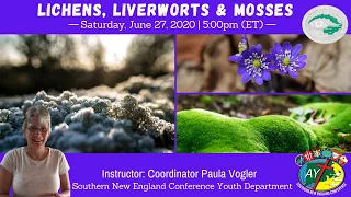 Pathfinder Honor - Lichens, Liverworts, & Mosses