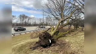 At least 2 tornadoes touch down in Chicago suburbs