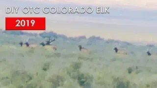 2019 OTC Colorado Elk Hunt