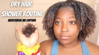 Dry Natural Hair Shower Routine | TYPE 4 HAIR |