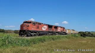 Trem de celulose com dupla de Dash 9 ALL (ex ferronorte) partindo de Aparecida do Taboado