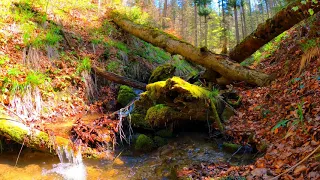 Epic Soothing Waterfall Nature Bird Sounds Stress Calming Music