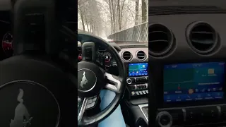 Как вам авто романтика ? Зима , лес и mustang☺️ #shorts #car #mustang