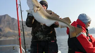 Рыбалка в Норвегии 2019 Апрель Остров Сения