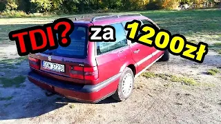 Passat B4 1.9 TDi Passarati czyli: Tanie (jak Wina%) Passsaty do Jazdy