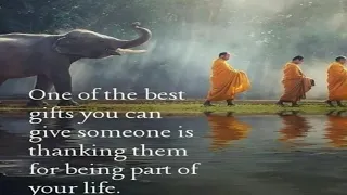 These quotes can teach you the high value of life | Buddha quotes |