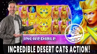 😻 Desert Cats Bring the HEAT 🌞 All Aboard the RUDIES CRUISE! 🚢 BCSlots