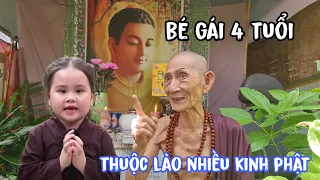 sư đức trí trung lý giải về bé gái 4 tuổi biết tiền kiếp và kinh giảng tiếng phạn