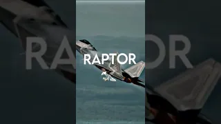 F22 RAPTOR #aviation #edit #viral