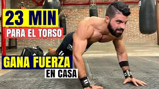 Rutina de Brazo Espalda y Pecho en Casa (23 MIN) | Tonifica Tren Superior Sin Equipo