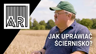 Jak uprawiać ściernisko? || AR #192