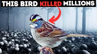 How this Bird Killed 45 Million People in China