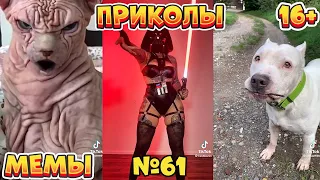 16 МИНУТ СМЕХА ДО СЛЁЗ | ЛУЧШИЕ ПРИКОЛЫ | ВЗРОСЛЫЙ ЮМОР l TikTok УГАР l #61