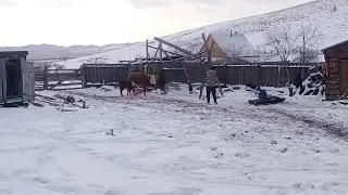 забой по бурятски