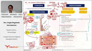 ANEMIA FERROPÉNICA - HEMATOLOGÍA - VILLAMEDIC