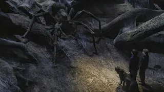 Spiders Attack Scene - "You're Aragog" - Harry Potter and the Chamber of Secrets (2002) Movie Clips