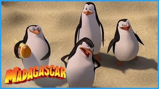 DreamWorks Madagascar | The Penguins Save the Day | Madagascar Movie Clip