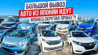 Что будет дальше с рынком!? Приход авто из Японии ещё по старым ценам. ALPHARD | VEZEL | FIT