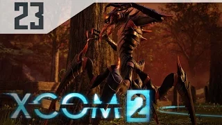 XCOM 2 Part 23 - Let's Play XCOM 2 Gameplay PC - CHRYSSALIDS?! | SurrealBeliefs