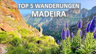 Top 5 Wanderungen auf Madeira