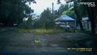 Момент падения дерева на полицейский автомобиль