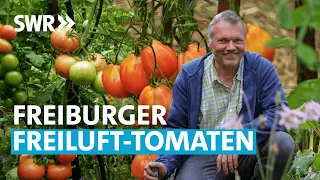 Der Tomaten-Spezialist (2/6) | Mein leckerer Garten