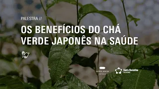 PALESTRA: OS BENEFÍCIOS DO CHÁ VERDE JAPONÊS NA SAÚDE