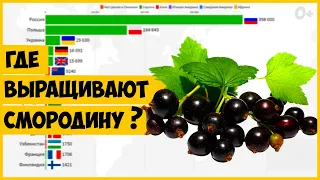 Динамика производства ягод смородины в мире (1961-2018)