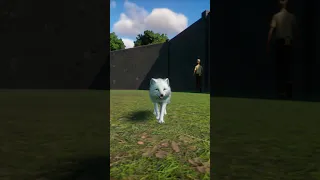 Arctic Fox Animations | Planet Zoo