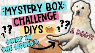 😳SHOCKED & SPEECHLESS!  Making DIYS with the CRAZIEST CHALLENGE ITEM ever!  MYSTERY BOX CHALLENGE