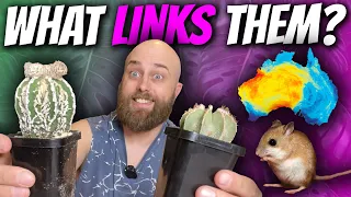 Unboxing Cacti & Nerding Out on Desertification, Evolution and Rat Kidneys!