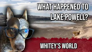 What Happened To Lake Powell? Whitey's World | Lone Rock Beach Bonus Hike